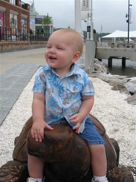 Riding a Turtle
