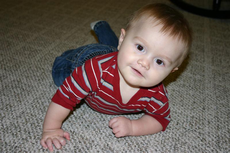 Learning to Crawl