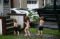 Having Fun in a Hurricane