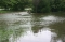 Flooded Creek