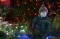 Lost in the Lights