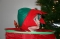 Up Pops an Elf