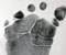 Left Foot Print