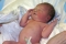Our Little Trevor