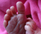 Old Lady's Feet