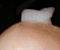 Stay Puff Marshmellow Man