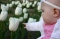 White Tulip