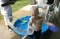 Water Fight